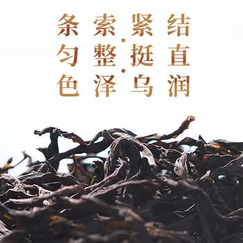 宋凰乌龙茶密韵小两凤凰单枞蜜兰香特级100g中火盒装企业单丛茶礼盒