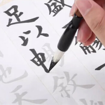 天天练行云兼毫小号5支 初学者毛笔学生书法入门练习工笔国画毛笔TN-9019