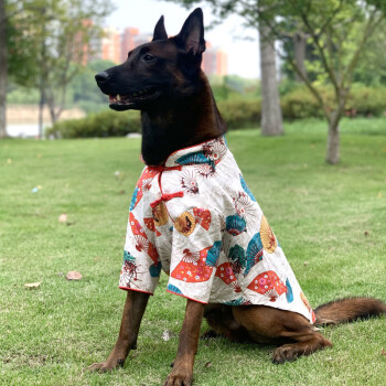 绚懿狗狗衣服大型犬喜庆新年衣服中国风唐装衣服大狗衣服拉布拉多