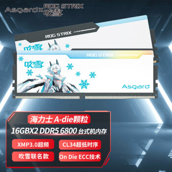 阿斯加特（Asgard）32GB(16GBx2)套 DDR5 6800 台式机内存 RGB灯条-吹雪联名款【CL34】适配黑神话悟空