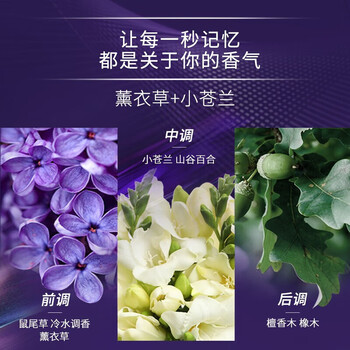 金纺柔顺剂持久留香薰衣草小苍兰700g清新亲肤+小白白衣鞋泡泡净10g