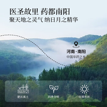 同仁堂（TRT）蒲公英根南阳原产足龄婆婆丁主根切段泡茶250g/罐