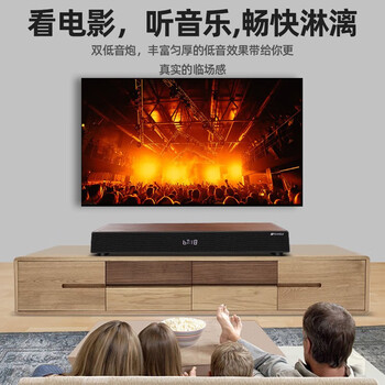 SANSUI山水 木质K歌版一体机回音壁 2.1声道 家庭KTV组合音响电视音响 家庭影院套装带麦克风 DV-91D