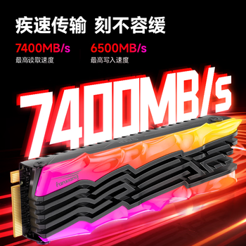 梵想（FANXIANG）2TB SSD固态硬盘 M.2接口NVMe协议PCIe4.0 TLC颗粒RGB炫彩光效  读速7400MB/s电脑装机升级 S790R