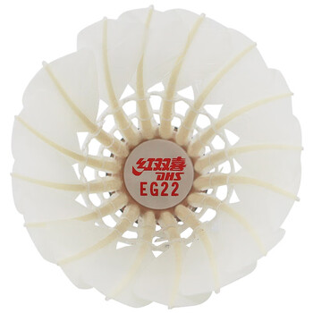 红双喜DHS鹅毛耐打羽毛球训练级EG22(12只装)