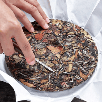 陈一凡 白茶 政和老白茶 2019年政和老白茶寿眉茶饼300g 茶叶白茶寿眉