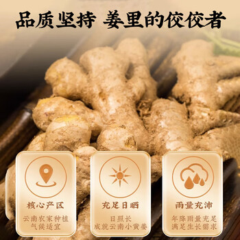 信盛堂南京同仁堂熟姜粉250g云南小黄姜粉冲泡老姜粉生姜粉代早餐粉