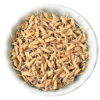 【新鲜】生谷芽中药泡水煮粥儿童积食炒谷芽搭配麦芽山楂消食谷牙