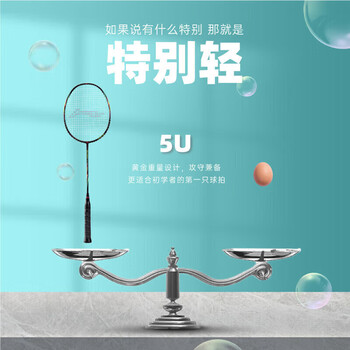 李宁（LI-NING）羽毛球拍超轻5u全碳素羽拍单拍套装锋影小钢炮已穿线 黑色