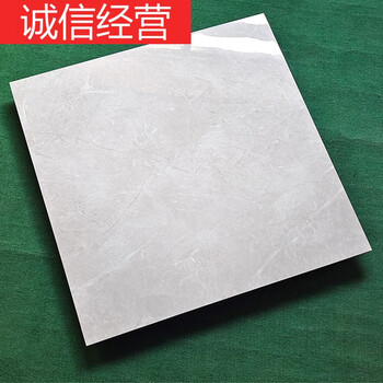 tlxt广东佛山瓷砖地砖800x800客厅卧室房间浅灰色通体大理石地板砖 ry