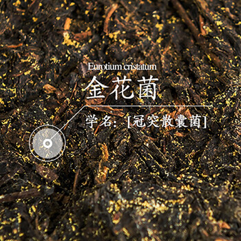 泾渭茯茶经典1368 900克礼盒装黑茶陕西特产咸阳茯砖茶茶叶伴手礼中秋送礼 泾渭茯茶经典1368 900克礼盒装黑茶陕西特产咸阳茯砖茶茶叶伴手礼中秋送礼