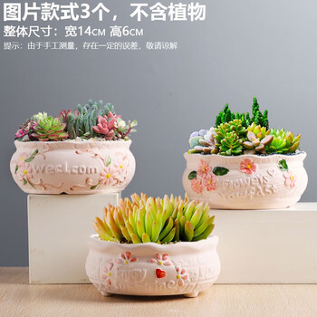 仟尚艺批发多肉花盆陶瓷大花盆简约口径粗陶多肉植物拼盘组合花盆特价sjh拼盘组合3个 003 中等 图片价格品牌报价 京东