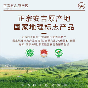 唐朴 绿茶安吉白茶明前特级250g 2025新茶叶礼盒观山春茶高端送礼品 唐朴 绿茶安吉白茶明前特级250g 2025新茶叶礼盒观山春茶高端送礼品