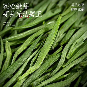福茗源茶叶 雀舌绿茶 浓香明前2026新茶嫩芽翠芽湄潭春茶叶自己喝50g
