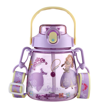 迪士尼(Disney)儿童水杯吸管防摔宝宝水壶便携夏季幼儿园Tritan水杯带背带8102 公主450ml