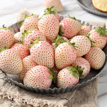 【京鲜配送】淡雪白草莓 奶油草莓水果大果新鲜白草莓礼盒装