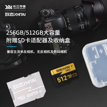 致态（ZhiTai）长江存储 512GB TF（MicroSD）内存卡 U3 V30 A2 PRO专业高速存储卡 读速170MB/s 无人机运动相机