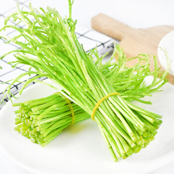 新鲜芦蒿5斤黎蒿农家自种新鲜藜蒿蔬菜蒌蒿野菜泥蒿去根去叶 1500g【