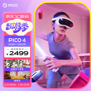 中端VR眼镜Pico价格报价行情- 京东