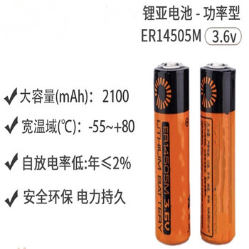 正鑫远 ER14505M 3.6V智能水表巡更器电池ic插卡式锂电池平头不带插头（2个）