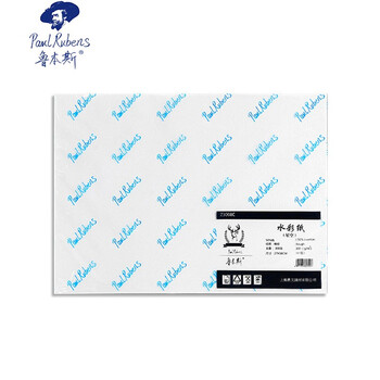 鲁本斯（PaulRubens）星空水彩纸加厚32K中粗纹300g棉浆纸素描纸学生初学美术绘画纸20张/包0111090