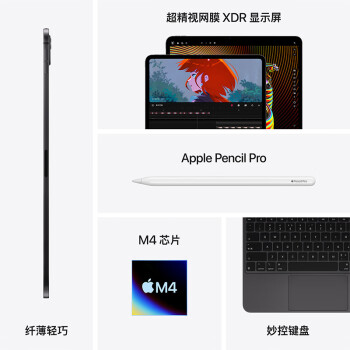 Apple iPad Pro 11 英寸 M4芯片 2024年新款平板电脑256GB WLAN版/MVV83CH/A 深空黑色*企业专享