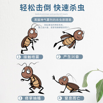 黑猫神杀虫剂喷雾600ml*2瓶 香茅草 杀虫灭蚊子蟑螂跳蚤苍蝇家用气雾剂