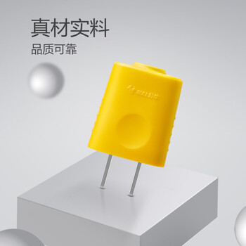 公牛（BULL）二脚10A插头摔不烂电源插座/无线/自行接线 GNT-10L4S(独立盒装)