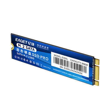 忆捷（EAGET）S300L-256G 固态（SSD、M.2、NGFF）