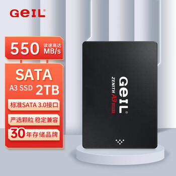 GEIL金邦 2TB SSD固态硬盘 SATA3.0接口 台式机笔记本通用 高速550MB/S A3系列 电脑升级核心组件 GEIL金邦 2TB SSD固态硬盘 SATA3.0接口 台式机笔记本通用 高速550MB/S A3系列 电脑升级核心组件