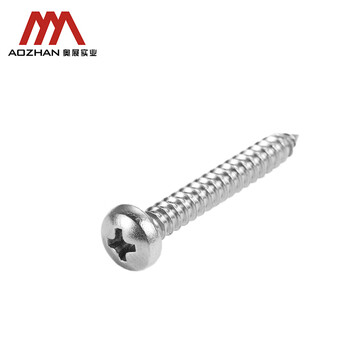 奥展实业（AOZHAN）304不锈钢GB845盘头十字槽自攻螺钉 M6.3 *22  10颗/包