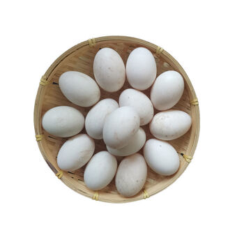 新鲜鸭蛋正宗连城白鹜鸭蛋生鸭蛋土鸭蛋白鸭蛋大个头鸭蛋65g