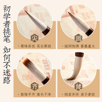 六品堂兼毫毛笔大号书法毛笔专业级湖笔楷书成人初学国画书法练字专用斗笔精品高档软笔 翰雪香梅 大号