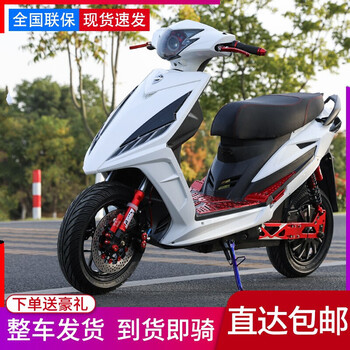 蓝天马电动车 京东