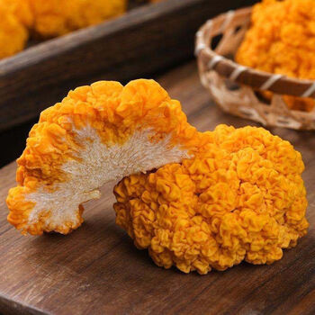 可钦云南新鲜金耳菌特产黄金耳黄木耳非干货银耳菌金耳黄耳煲汤料2斤