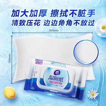 维达（Vinda）湿厕纸40片/包自然无香私处抑菌卫生纸*20包VW3410+手帕纸1包