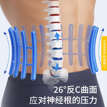 WSPEN德国医用护腰带腰间盘突出腰带神器腰肌劳损腰部支撑透气腰托男女