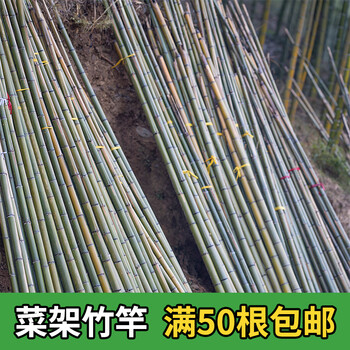 竹竿蔬菜爬藤户外菜园搭架豆角黄瓜架篱笆栅栏彩旗杆防腐竹杆装饰3