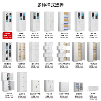 欧耐德 办公文件柜铁皮柜档案资料柜子钢制车间柜储物柜大器械文件柜