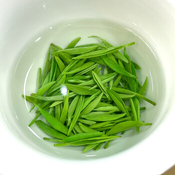 双碑绿茶信阳毛尖特级250g2025年明前罐装新茶春茶自己喝送手提袋