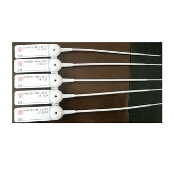 融银之汇（RYZH）0053 一次性封签 塑料铅封 集装箱包安全封条 物流签封带钢片208mm 中性空白 500条/包 