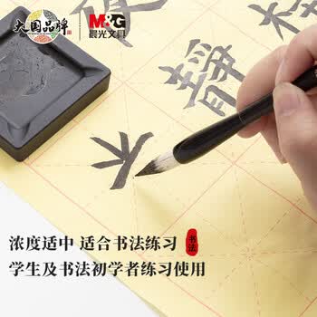 晨光(M&G)文具黑色250ml经济型创作墨汁 文房四宝学生书画墨水练字字帖 单瓶装开学礼物 AICW8815