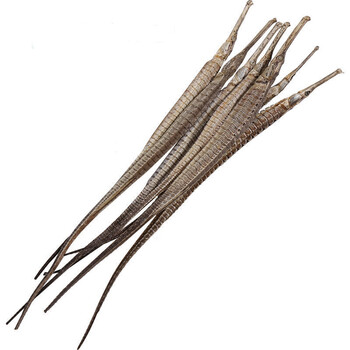 【海马海龙】海龙干货特大刁六角海龙中药材批发泡酒药材滋补品 中海