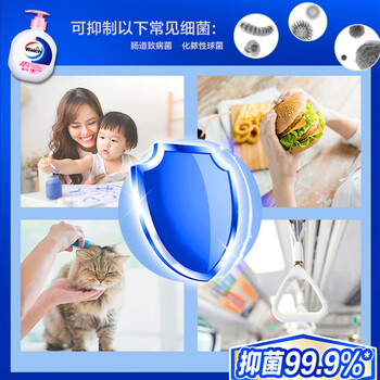 威露士（Walch）洗手液健康抑菌525mlx3瓶 家庭儿童消毒杀菌泡沫丰富洗护灭甲流感