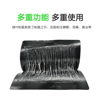 绿叶 粘鼠板 20片/盒 老鼠贴捕鼠家用老鼠（神枪手）