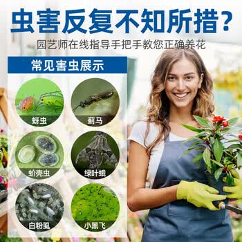 Dr.Riley德国原液花卉杀虫剂植物蚜虫呋虫胺喷雾土壤绿植月季花草红黑蜘蛛