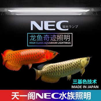 博特nec鱼缸灯诱色发色增艳神灯t8三基色水族潜水灯管增色水草6700k金龙鱼灯nec32w龙鱼奇迹照明潜水灯130cm 图片价格品牌报价 京东