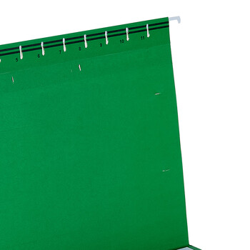 齐心(Comix) 25个易查找吊挂夹 倒挂夹 挂夹文件夹 倒挂文件夹 F/C 纸质资料夹 绿 A1813