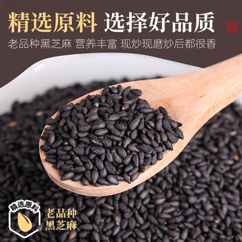 璞匠 纯黑芝麻粉黑芝麻糊原味代餐冲饮谷物即食300g