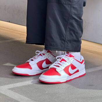 nike耐克男鞋春季新款dunk复古耐磨潮流低帮透气轻便休闲运动鞋dd